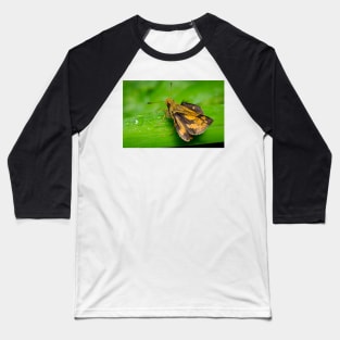 Unique and organic photo of a yellow skipper (butterfly) with wings opened Baseball T-Shirt